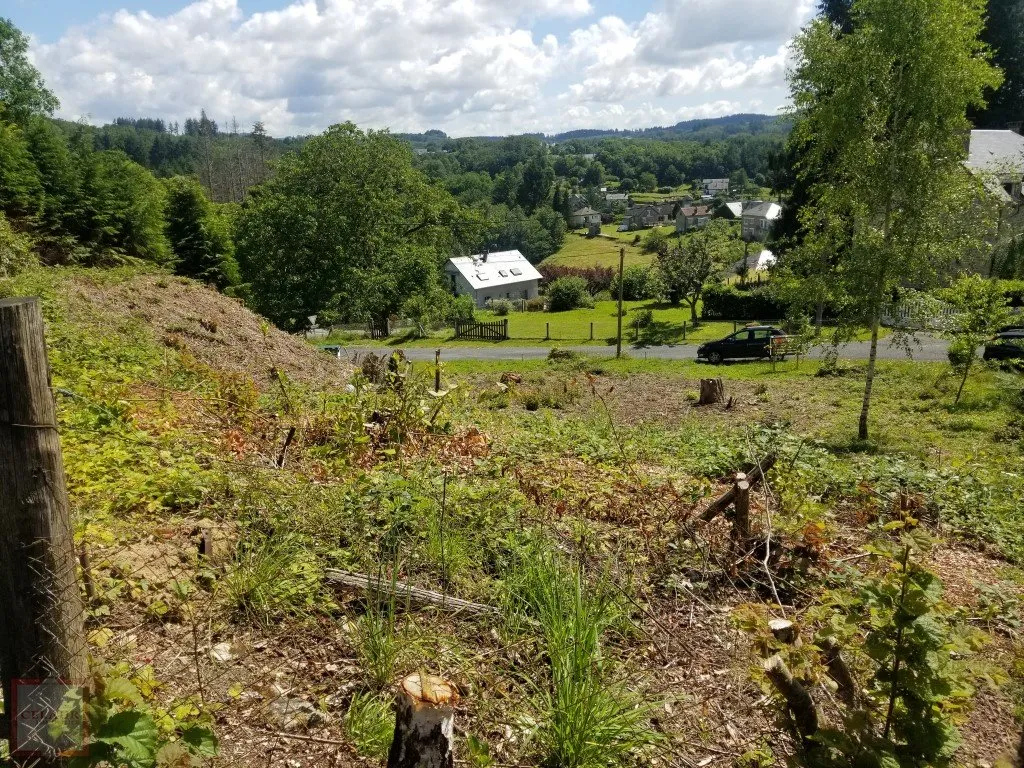 TERRAIN CONSTRUCTIBLE ET SA MAISON EN PIERRES A RENOVER