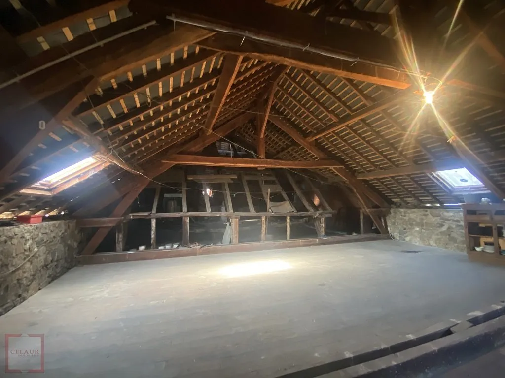 IMMEUBLE AVEC FONDS DE COMMERCE + 2 APPARTEMENTS