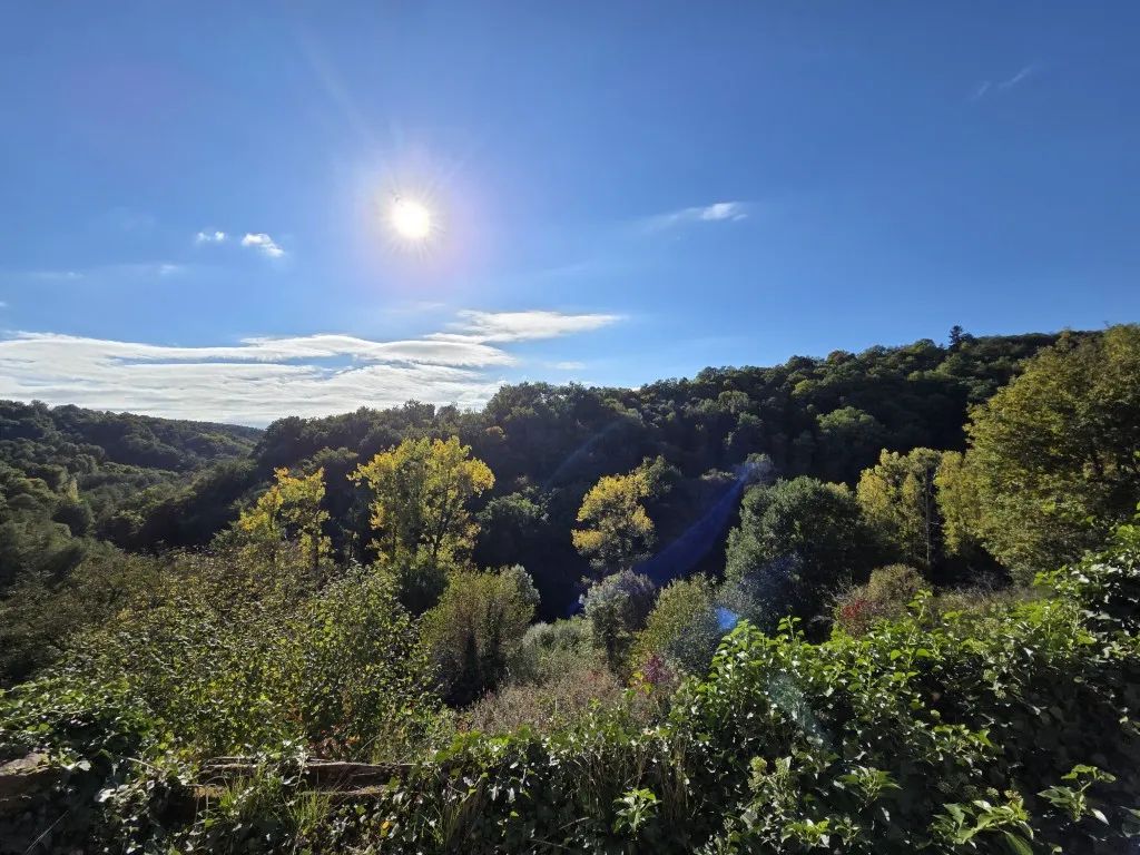 BIEN DE CARACT&Egrave;RE